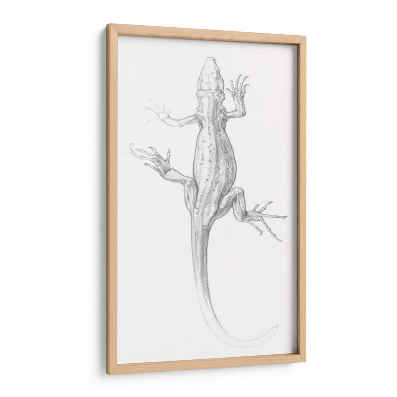 Lagartija - I - Julie de Graag | Cuadro decorativo de Canvas Lab