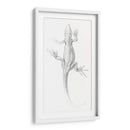 Lagartija - I - Julie de Graag | Cuadro decorativo de Canvas Lab