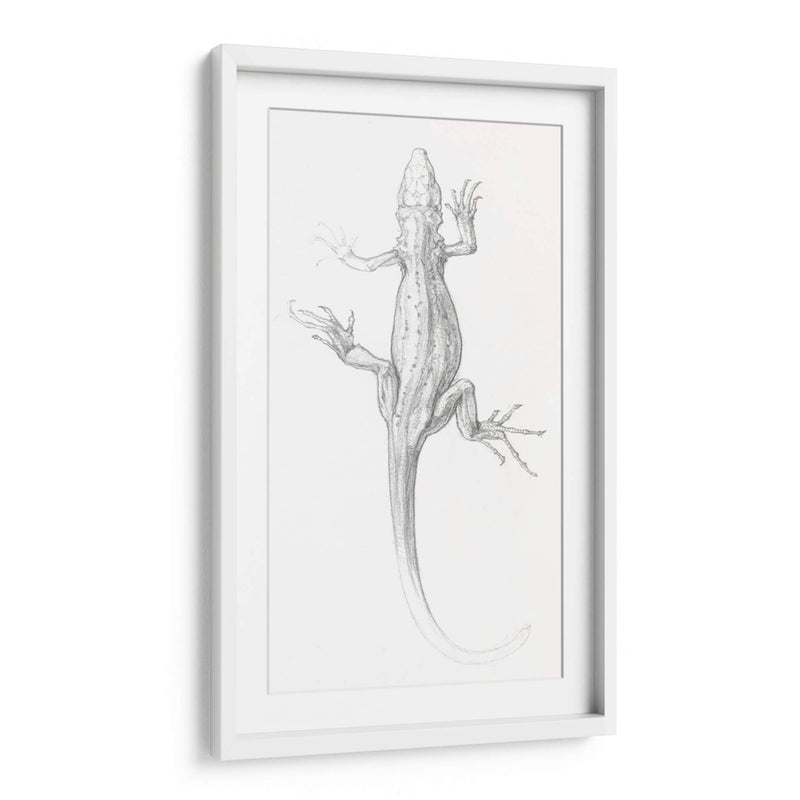 Lagartija - I - Julie de Graag | Cuadro decorativo de Canvas Lab