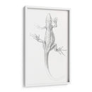 Lagartija - I - Julie de Graag | Cuadro decorativo de Canvas Lab