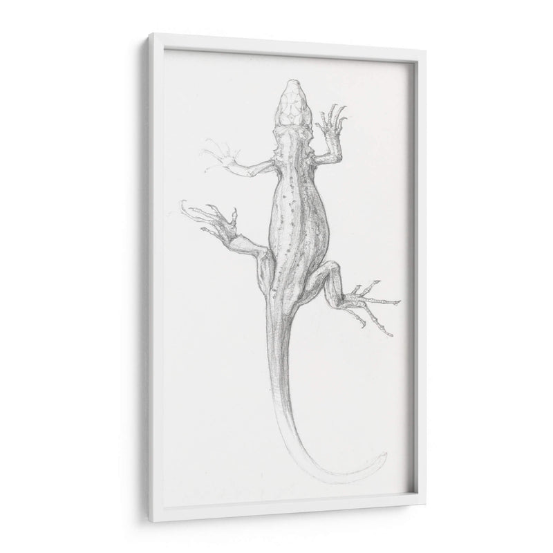 Lagartija - I - Julie de Graag | Cuadro decorativo de Canvas Lab