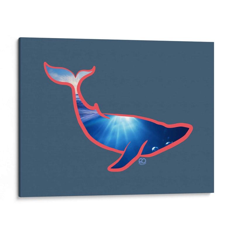 Ballena - Corrococho | Cuadro decorativo de Canvas Lab