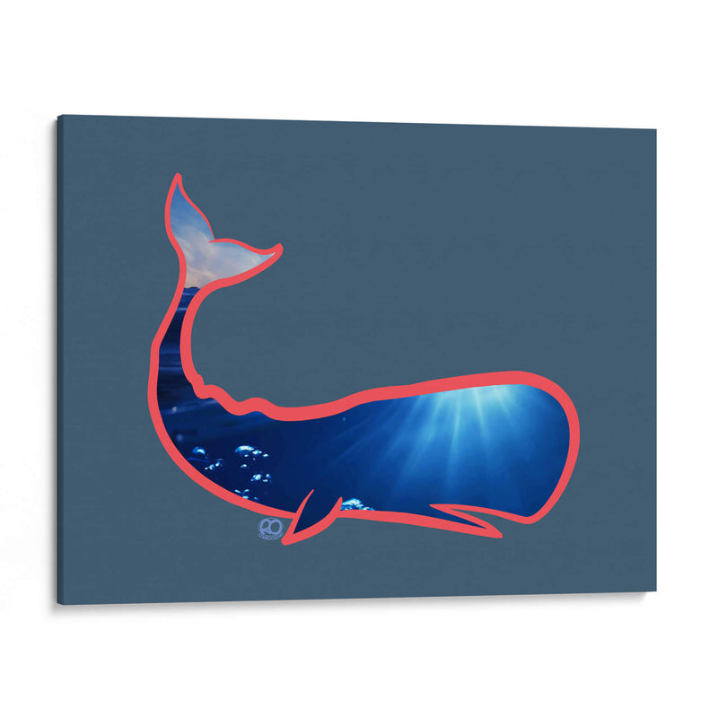Ballena Cachalote - Corrococho | Cuadro decorativo de Canvas Lab