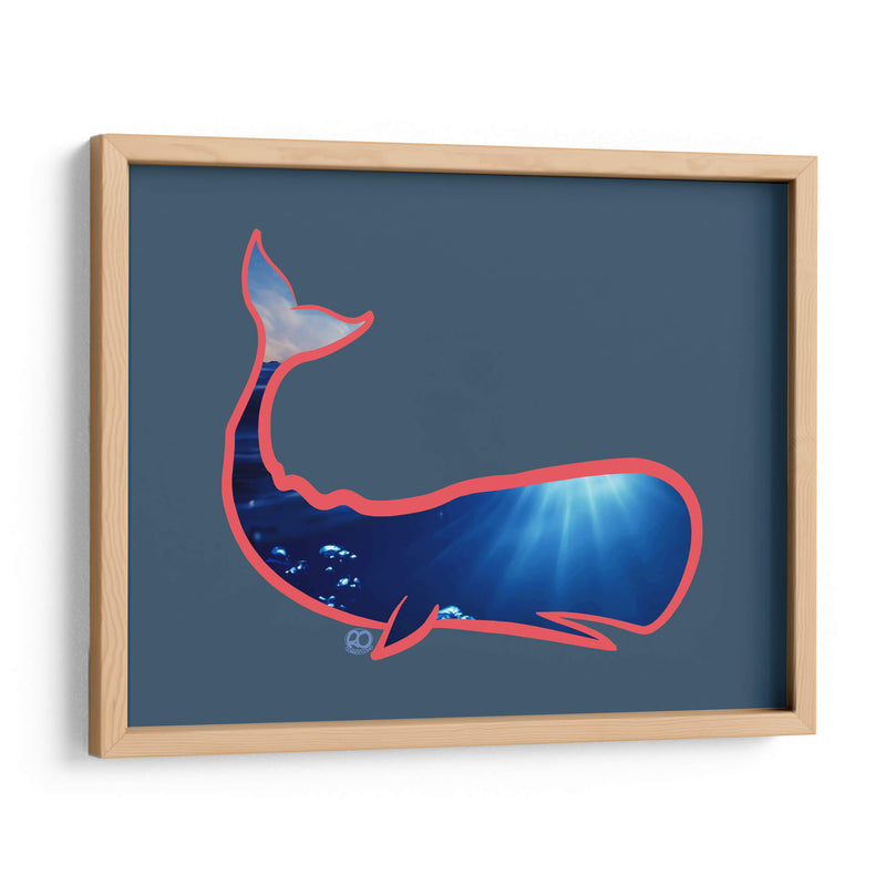 Ballena Cachalote - Corrococho | Cuadro decorativo de Canvas Lab