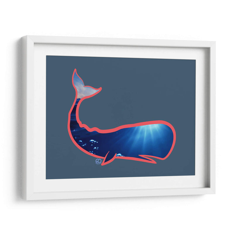 Ballena Cachalote - Corrococho | Cuadro decorativo de Canvas Lab