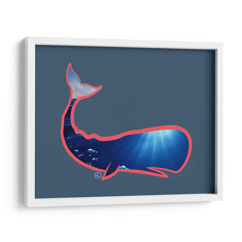 Ballena Cachalote - Corrococho | Cuadro decorativo de Canvas Lab