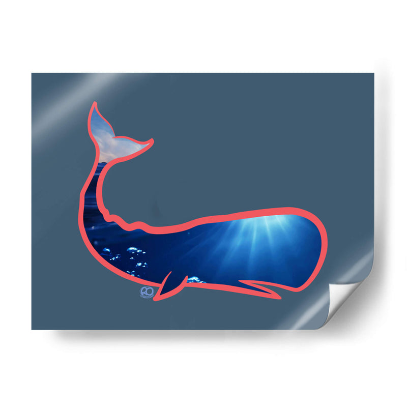 Ballena Cachalote - Corrococho | Cuadro decorativo de Canvas Lab