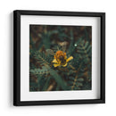 Abeja sobre flor v1 - Isidro Velázquez | Cuadro decorativo de Canvas Lab