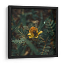 Abeja sobre flor v1 - Isidro Velázquez | Cuadro decorativo de Canvas Lab