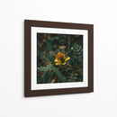 Abeja sobre flor v1 - Isidro Velázquez | Cuadro decorativo de Canvas Lab