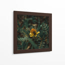 Abeja sobre flor v1 - Isidro Velázquez | Cuadro decorativo de Canvas Lab