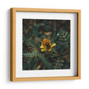 Abeja sobre flor v1 - Isidro Velázquez | Cuadro decorativo de Canvas Lab