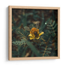 Abeja sobre flor v1 - Isidro Velázquez | Cuadro decorativo de Canvas Lab