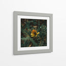 Abeja sobre flor v1 - Isidro Velázquez | Cuadro decorativo de Canvas Lab