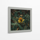 Abeja sobre flor v1 - Isidro Velázquez | Cuadro decorativo de Canvas Lab
