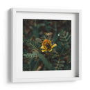 Abeja sobre flor v1 - Isidro Velázquez | Cuadro decorativo de Canvas Lab