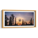 Atardecer de león | Cuadro decorativo de Canvas Lab