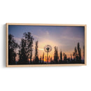 Atardecer de león | Cuadro decorativo de Canvas Lab