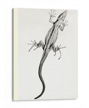 Lagartija - II - Julie de Graag | Cuadro decorativo de Canvas Lab