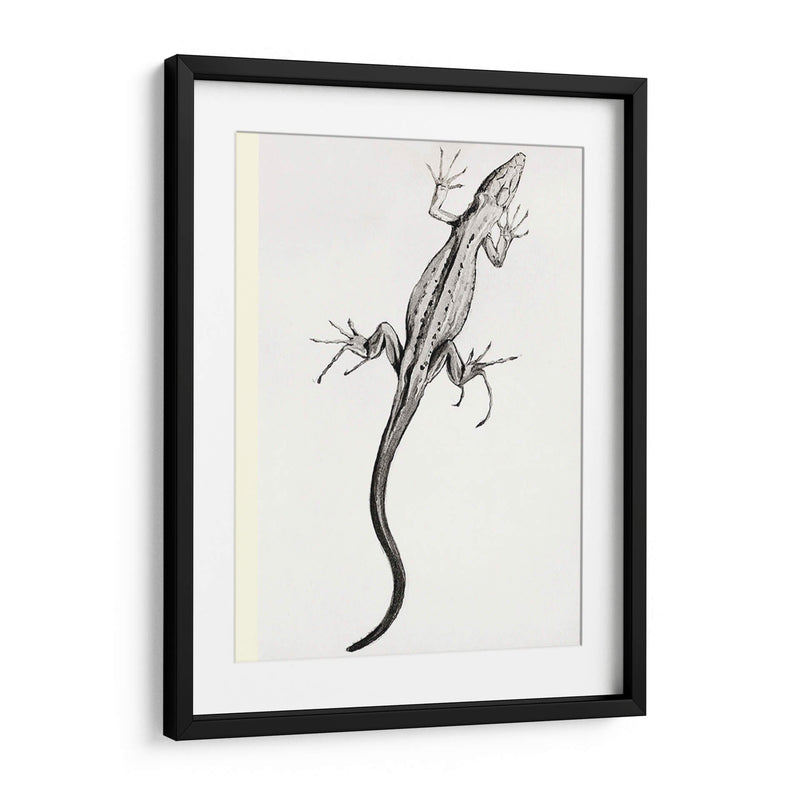 Lagartija - II - Julie de Graag | Cuadro decorativo de Canvas Lab