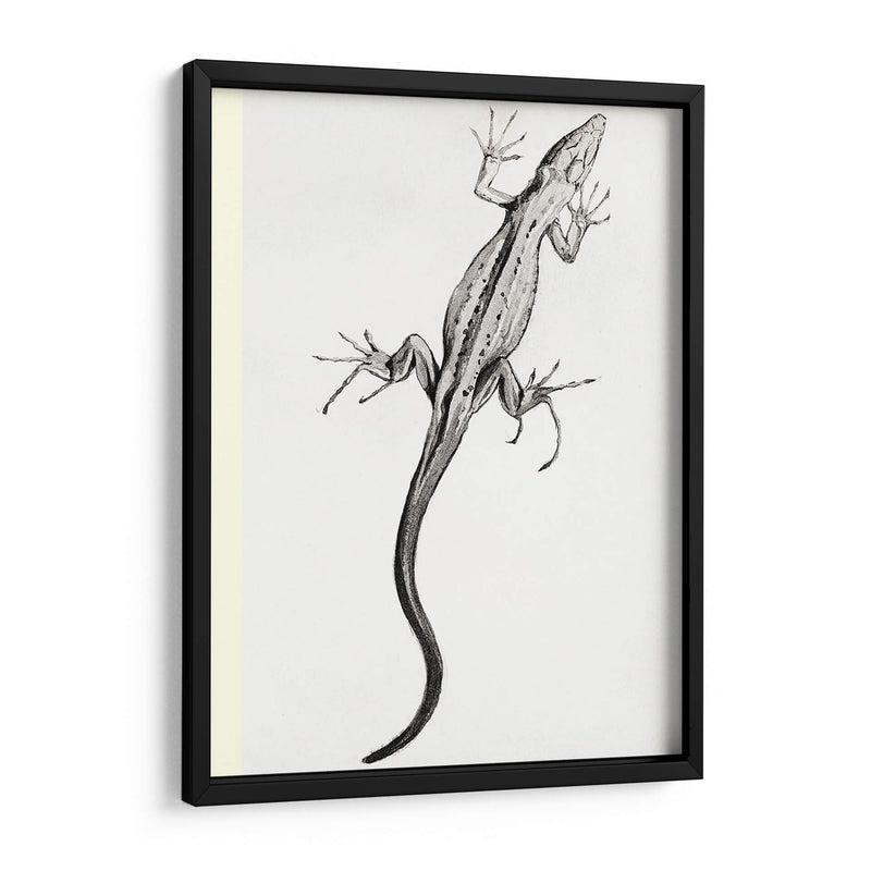 Lagartija - II - Julie de Graag | Cuadro decorativo de Canvas Lab