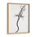 Lagartija - II - Julie de Graag | Cuadro decorativo de Canvas Lab