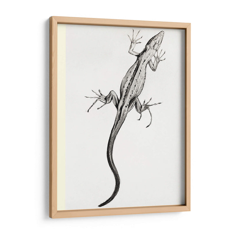 Lagartija - II - Julie de Graag | Cuadro decorativo de Canvas Lab