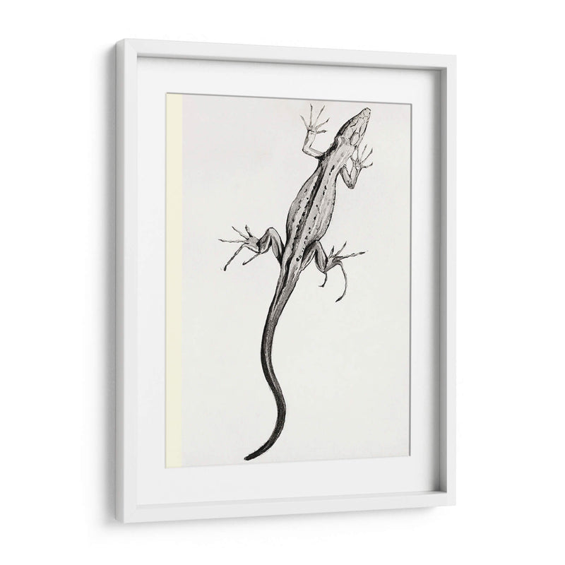 Lagartija - II - Julie de Graag | Cuadro decorativo de Canvas Lab