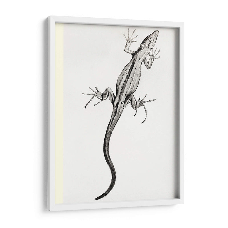 Lagartija - II - Julie de Graag | Cuadro decorativo de Canvas Lab