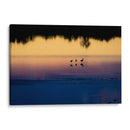 Reflejo de aves al amanecer - Claudia Luna | Cuadro decorativo de Canvas Lab