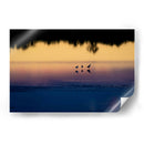 Reflejo de aves al amanecer - Claudia Luna | Cuadro decorativo de Canvas Lab