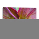 Texturas y colores de una planta - Claudia Luna | Cuadro decorativo de Canvas Lab