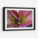 Texturas y colores de una planta - Claudia Luna | Cuadro decorativo de Canvas Lab