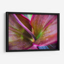Texturas y colores de una planta - Claudia Luna | Cuadro decorativo de Canvas Lab