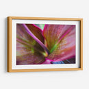 Texturas y colores de una planta - Claudia Luna | Cuadro decorativo de Canvas Lab