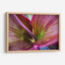 Texturas y colores de una planta - Claudia Luna | Cuadro decorativo de Canvas Lab