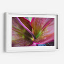 Texturas y colores de una planta - Claudia Luna | Cuadro decorativo de Canvas Lab