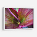 Texturas y colores de una planta - Claudia Luna | Cuadro decorativo de Canvas Lab