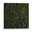 Flores amarillas - Isidro Velázquez | Cuadro decorativo de Canvas Lab