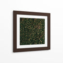 Flores amarillas - Isidro Velázquez | Cuadro decorativo de Canvas Lab