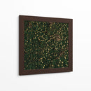 Flores amarillas - Isidro Velázquez | Cuadro decorativo de Canvas Lab