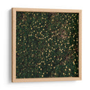 Flores amarillas - Isidro Velázquez | Cuadro decorativo de Canvas Lab