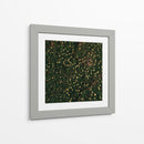 Flores amarillas - Isidro Velázquez | Cuadro decorativo de Canvas Lab