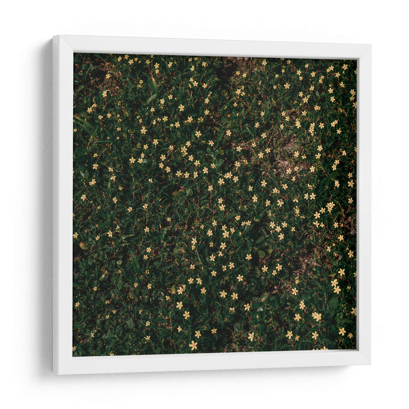 Flores amarillas - Isidro Velázquez | Cuadro decorativo de Canvas Lab