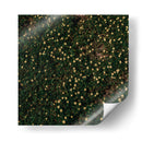 Flores amarillas - Isidro Velázquez | Cuadro decorativo de Canvas Lab