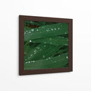 Gotas de tranquilidad - Isidro Velázquez | Cuadro decorativo de Canvas Lab