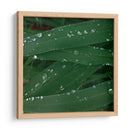 Gotas de tranquilidad - Isidro Velázquez | Cuadro decorativo de Canvas Lab