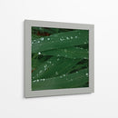 Gotas de tranquilidad - Isidro Velázquez | Cuadro decorativo de Canvas Lab