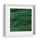 Gotas de tranquilidad - Isidro Velázquez | Cuadro decorativo de Canvas Lab