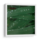 Gotas de tranquilidad - Isidro Velázquez | Cuadro decorativo de Canvas Lab